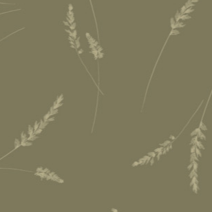 Whispering Grasslands Delicate Stems Sage 58240304-02 Fabrics Riley Blake