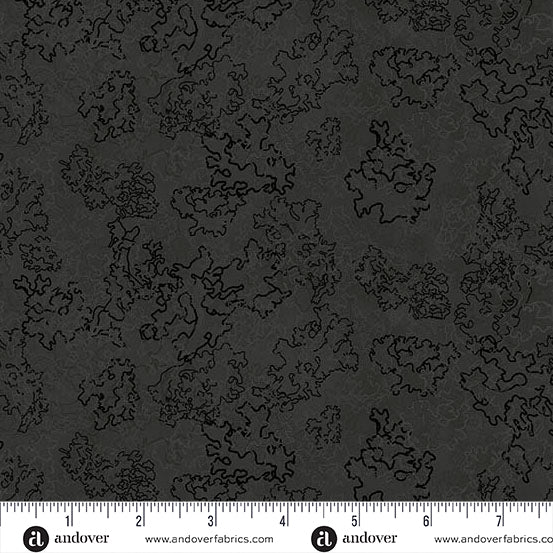 Heima Lichen Obsidian A-1634-K Fabrics Andover Fabrics